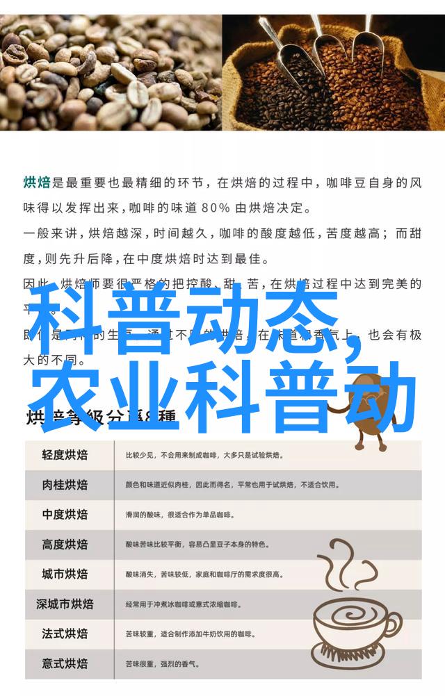 庭院蔬菜种植技巧与管理实用指南