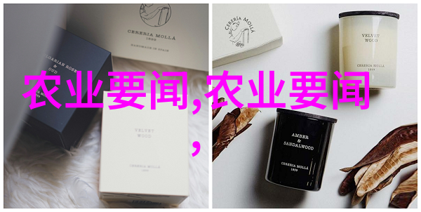 金线莲种植-金线莲的种植艺术从播种到开花的全过程