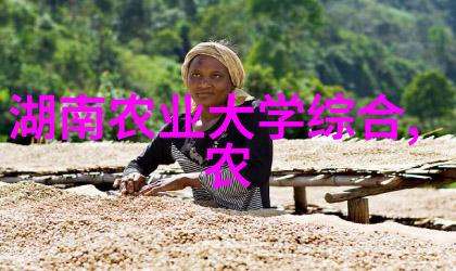 种菜的免费网站有哪些