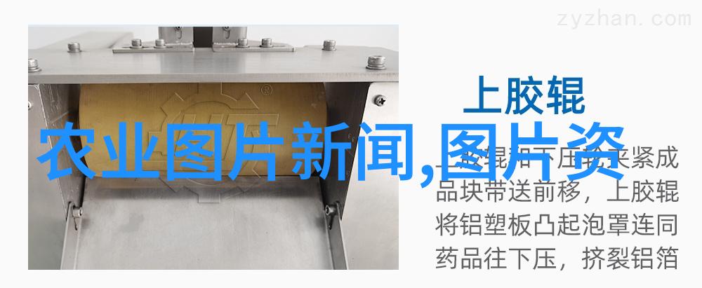 最容易种的水果