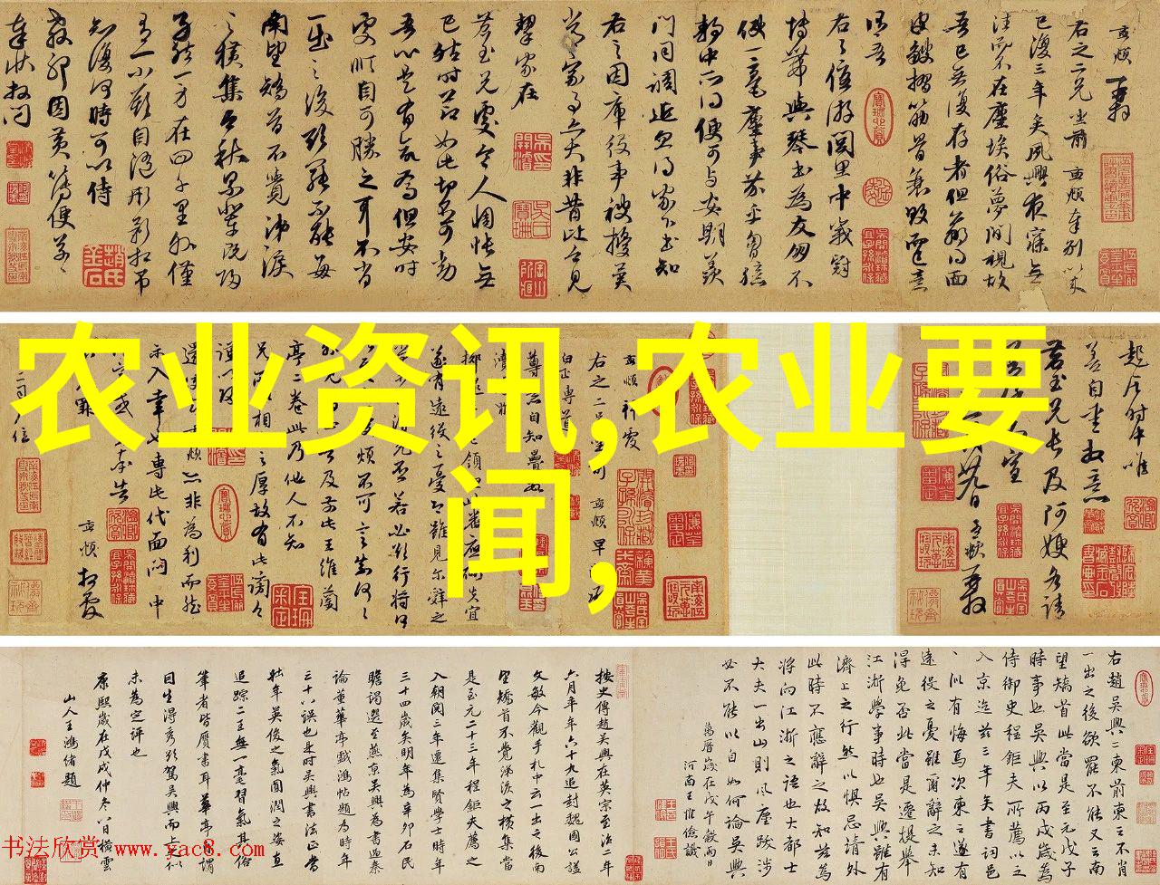 甘蓝菜的魅力与健康益处