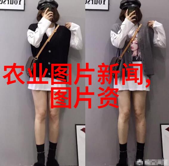 茶树叶片的特征我来告诉你它们是怎样的绿意盎然的美丽小王国