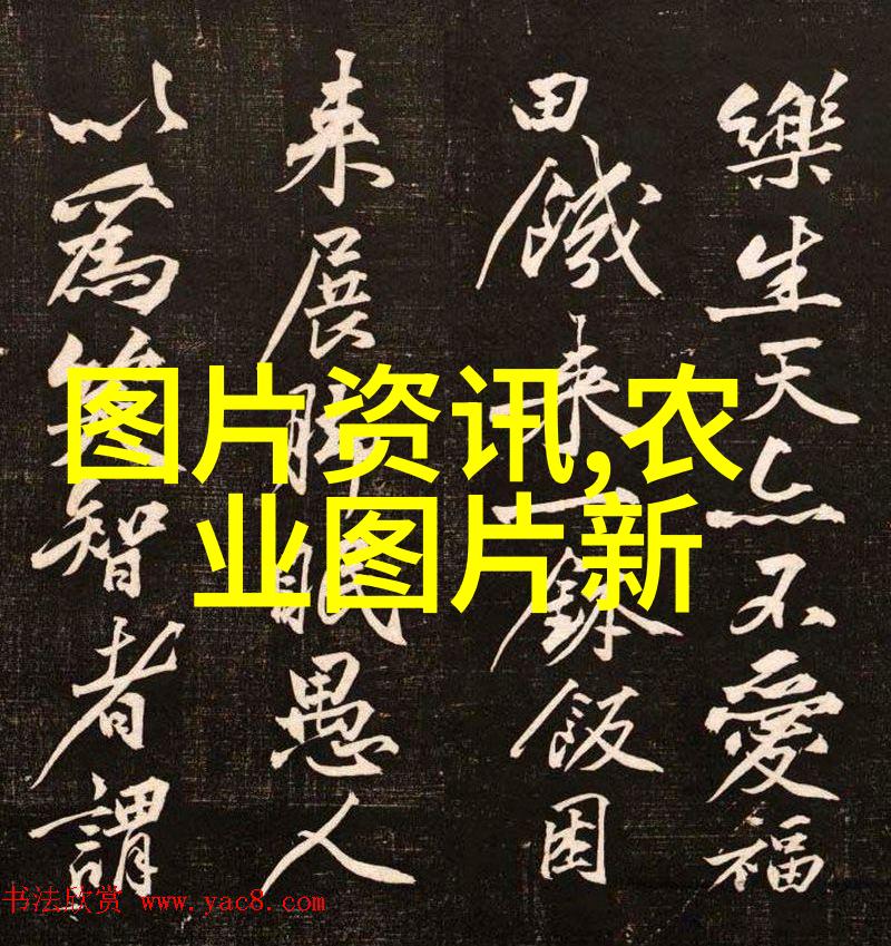 绿茵茵的田野蚕豆的成长与收获