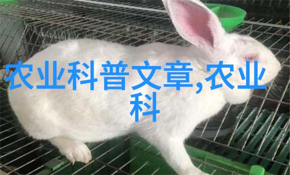 选择农业致富项目时应考虑哪些因素