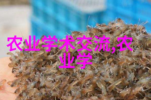黄瓜种植技术全解析从土壤选择到收获技巧