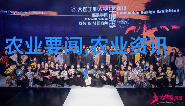 云南大理的普洱茶采摘地收集原料