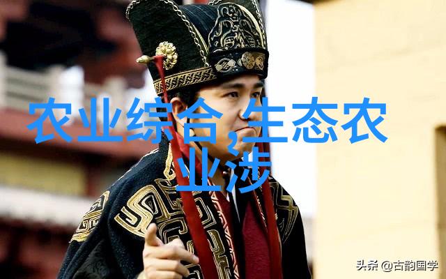 室内绿洲植物的温馨守护者