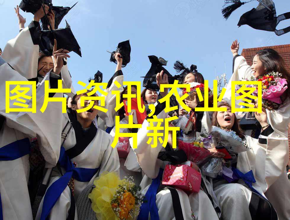 花艺秘籍解锁植物美学的艺术与科技