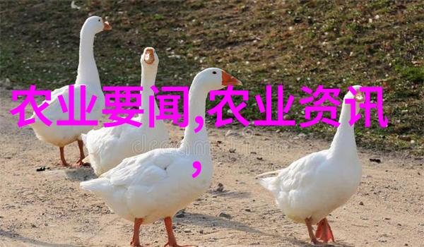 茶的秘密花园揭开一壶温馨与智慧的传说