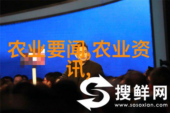 杨梅的采收加工与储藏水果种子故事中的情感共鸣