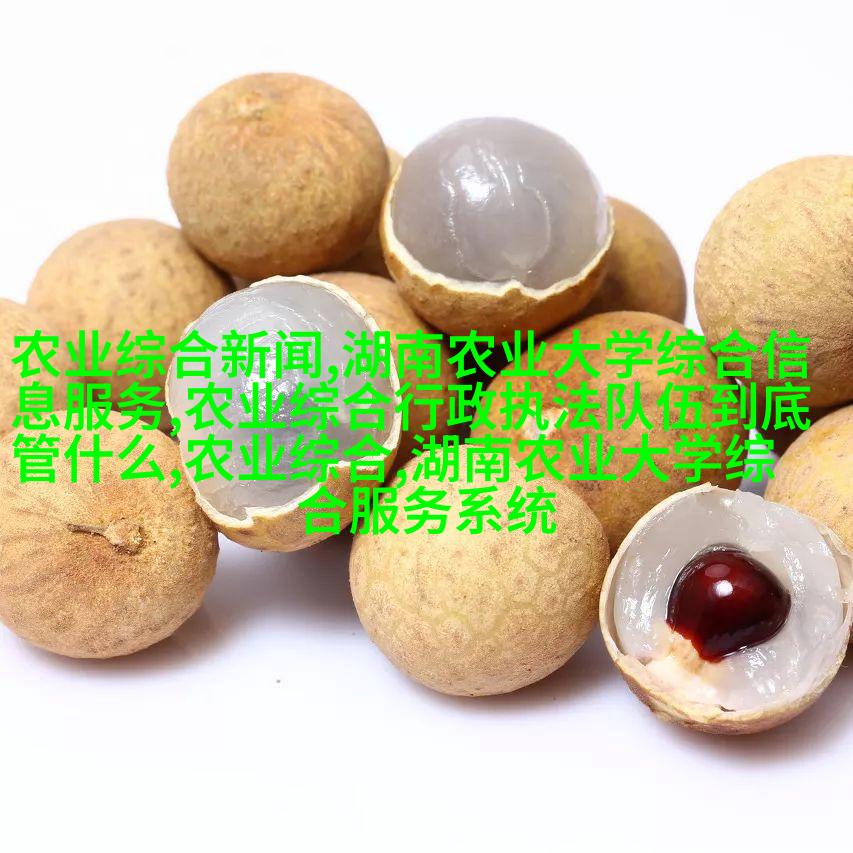 卡萨布兰卡石蒿