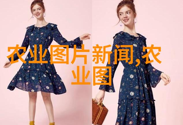10年枫树一棵多少钱我家的那棵红叶子成了街区的焦点了