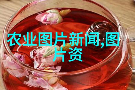 自然风光-种子满载的丰收带种子的水果图片展览