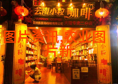 中药材种植新趋势绿色健康的未来之路