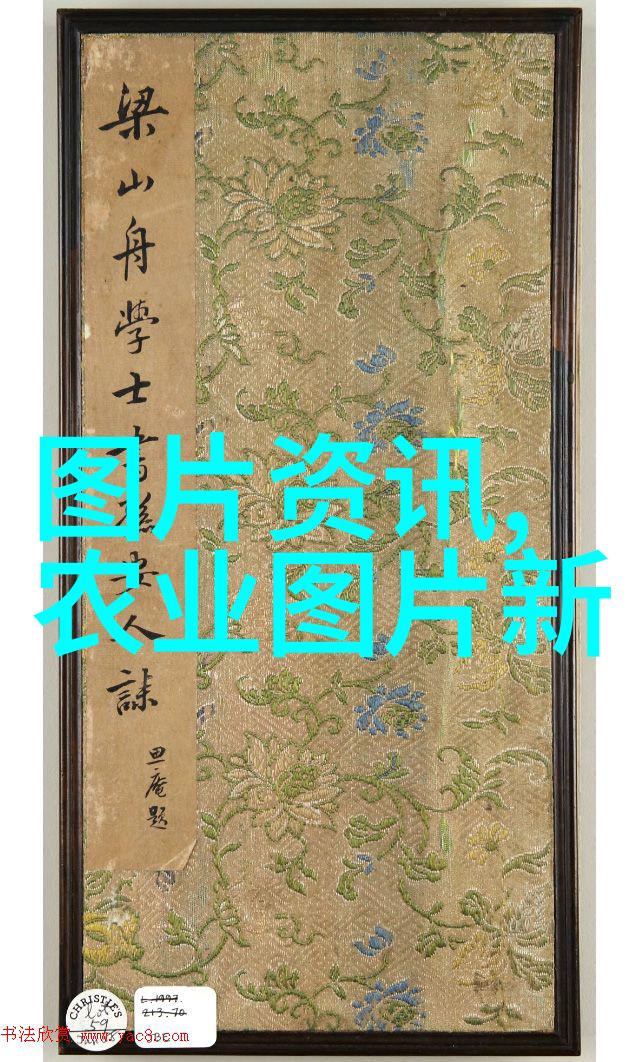 中年人才再起探索五十岁以上劳动者的就业新机遇
