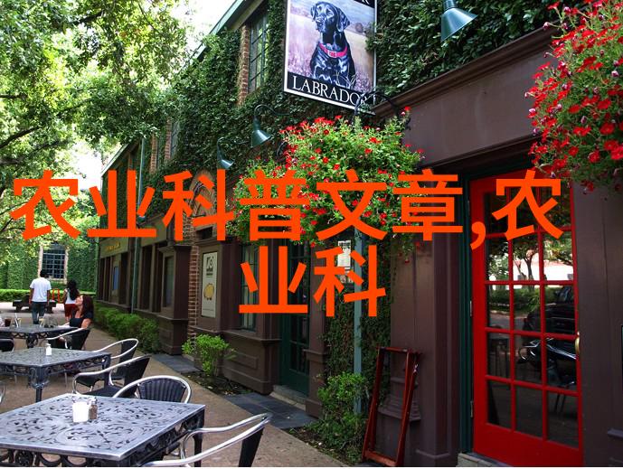中药材种植技术培训提升中医药产业竞争力