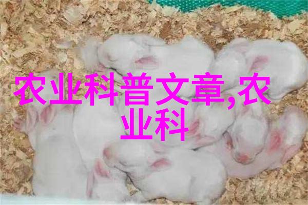 图片1:一家百头奶牛大规模养殖场内部视角
