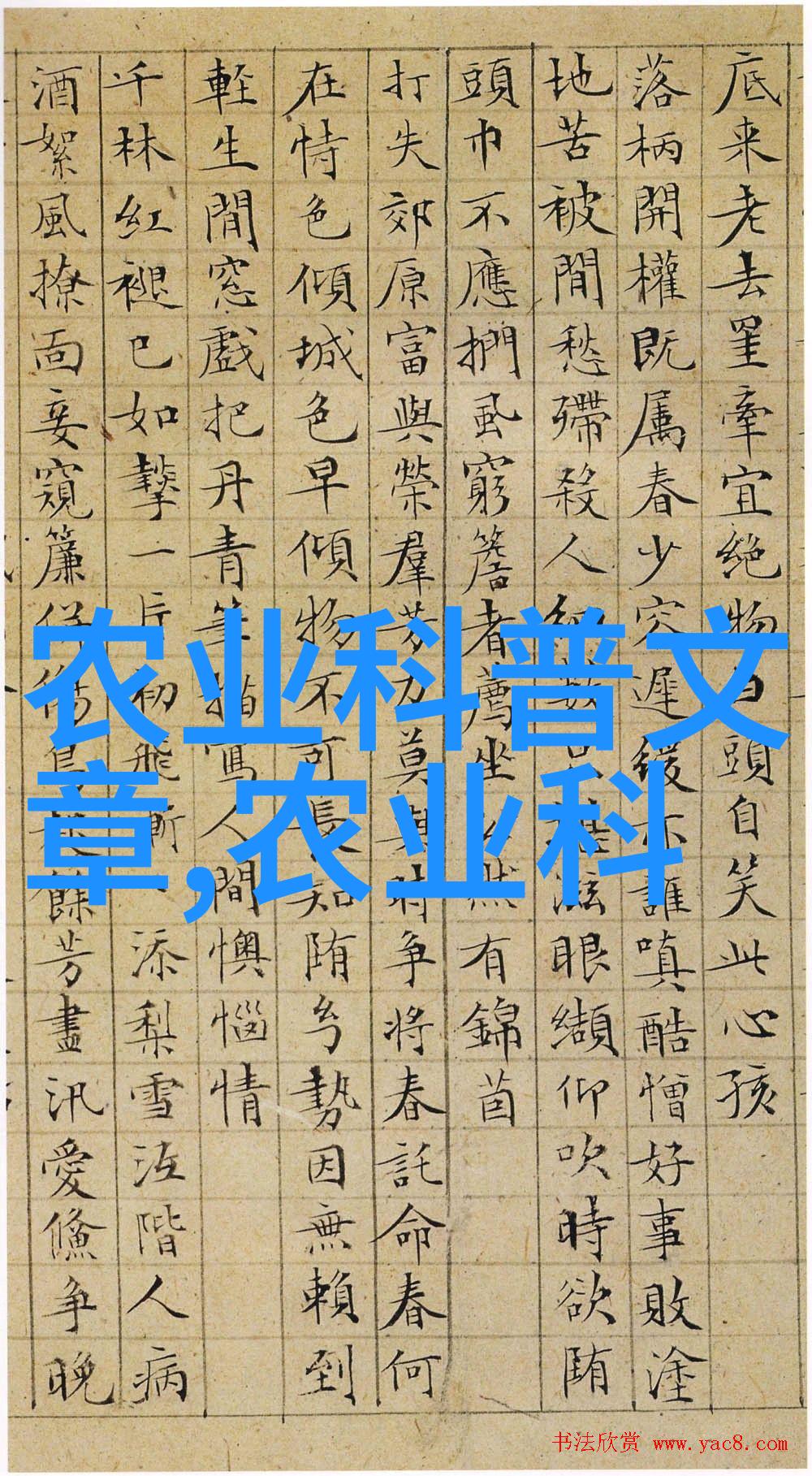 奶山羊养殖利润分析揭秘如何挑选金钱牛