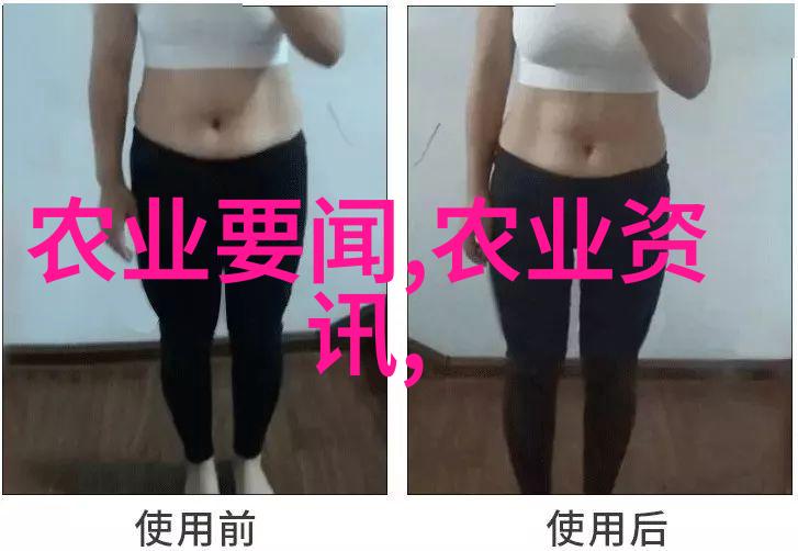 10公分黄栌价格热销了解这个小巧花卉的市场价值