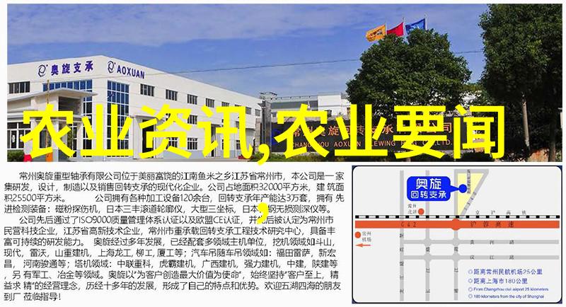 中药材黄姜种植技术我来教你如何把黄姜种在家里