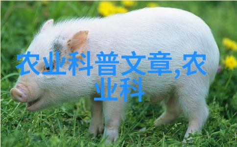 凉皮机冰凉一口味蕾的快乐旅行
