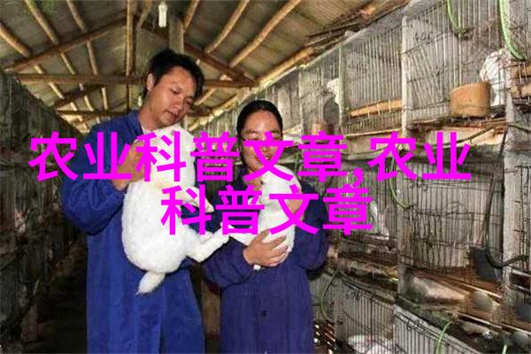 图片3:操作员正在使用现代化喂食机为奶牛投放饲料