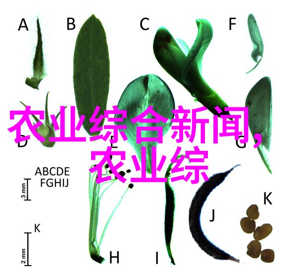 阳台上的甜蜜果实选择合适的水果树种植