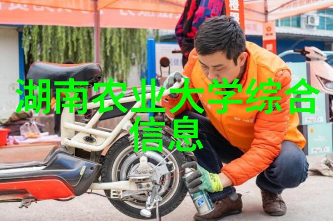 茶香可食揭秘茶叶的营养与益处