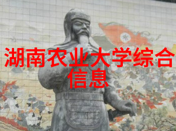 只为那一刻与你相见时间的长河中的邂逅