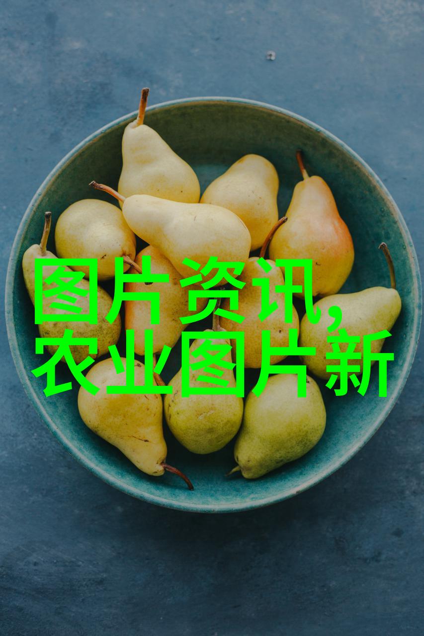 森林之秘一份神秘的苗木报价单