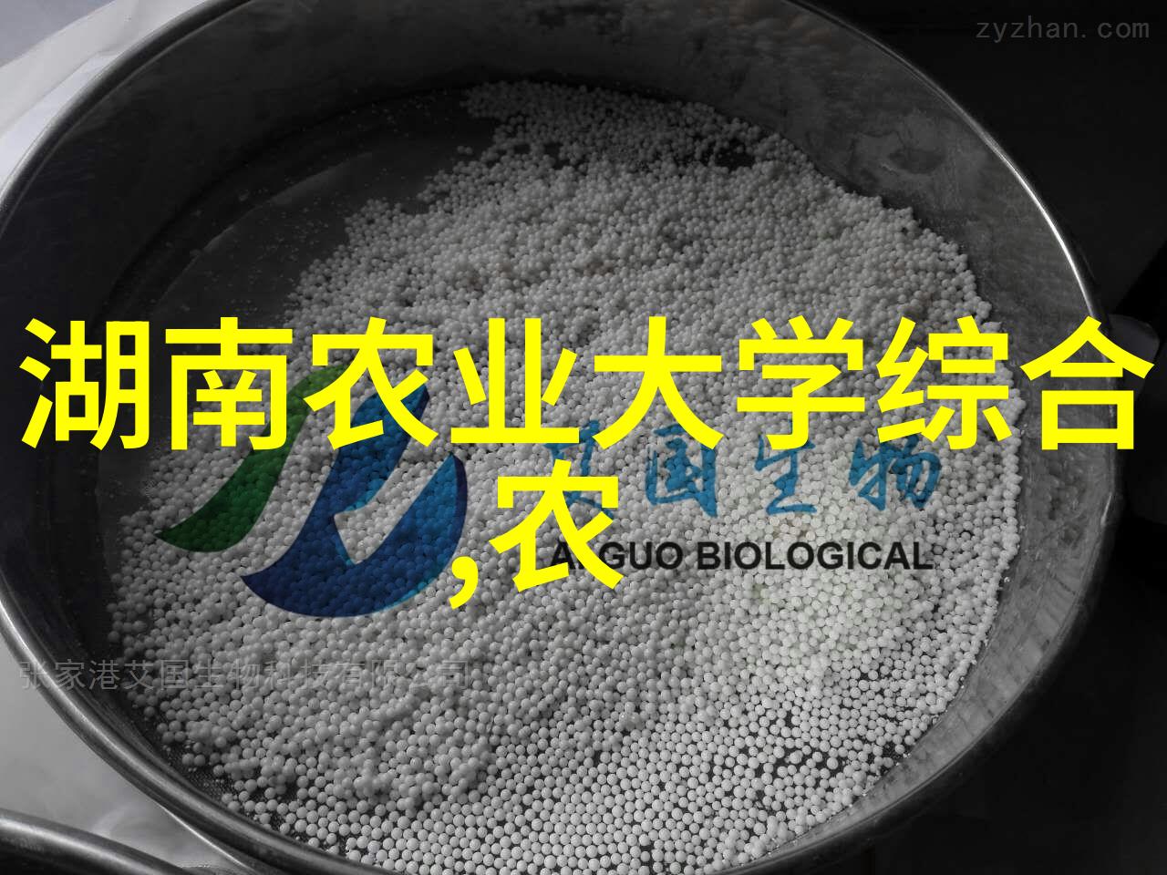 2024年中药材新宠从草根到健身神器的奇迹变身