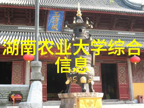 人力资源管理新视角员工使用频率分析与优化建议