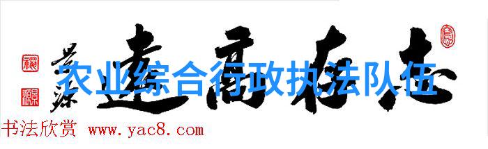 模具维护与保养的最佳实践是什么