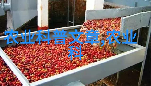 春季养花指南在家轻松种植最受欢迎的盆栽水果