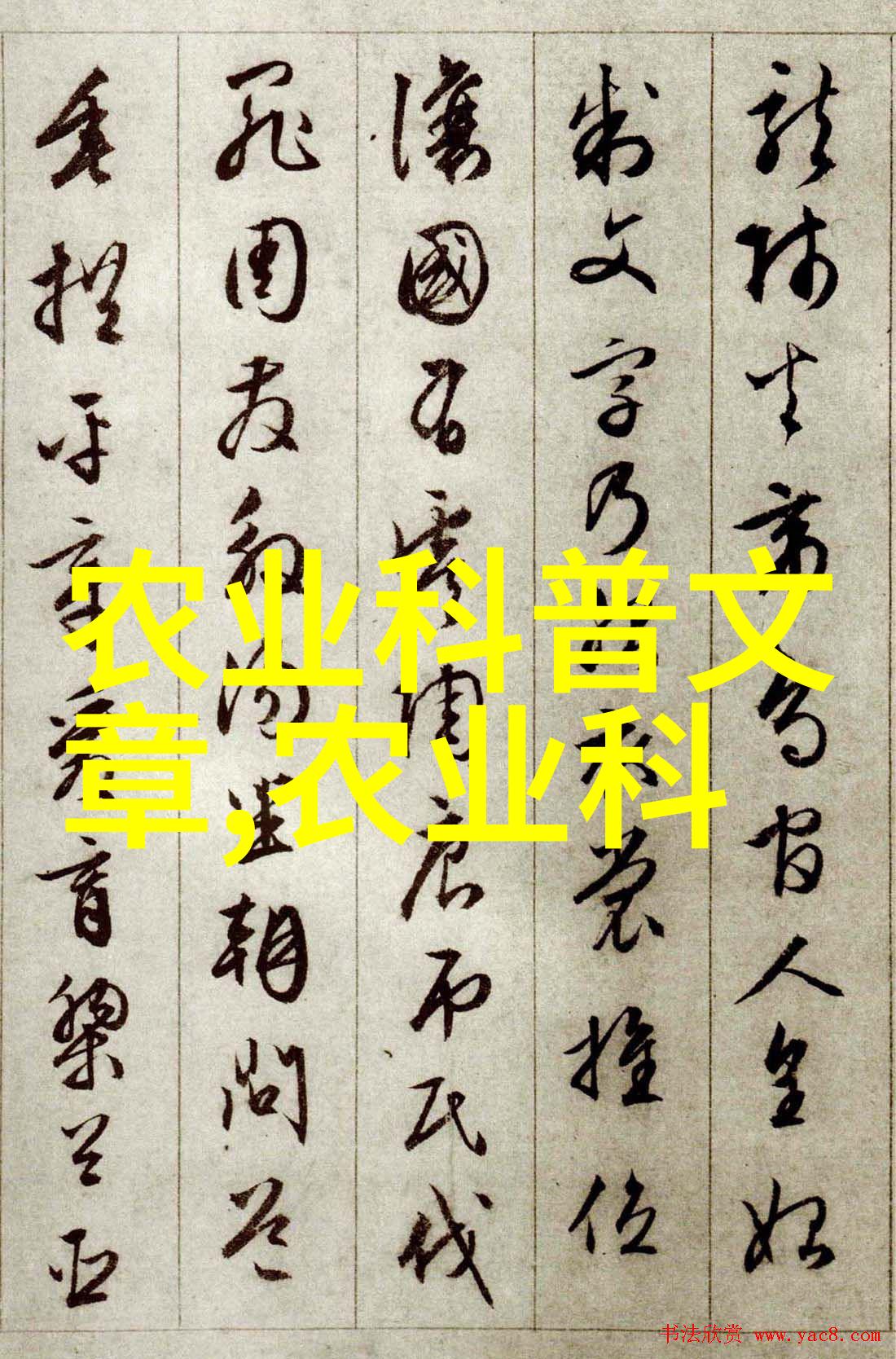 农机市场期刊聊聊我在农场的那些日子从插秧机到收割机的故事