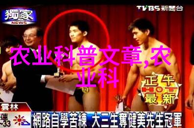 如何高效养殖蟾蜍从基因选择到环境优化