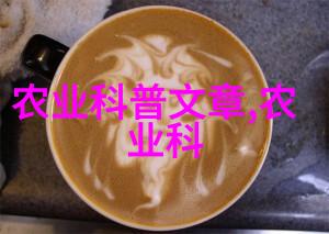 屋顶上的秘密花园如何在城市中开辟个人天地