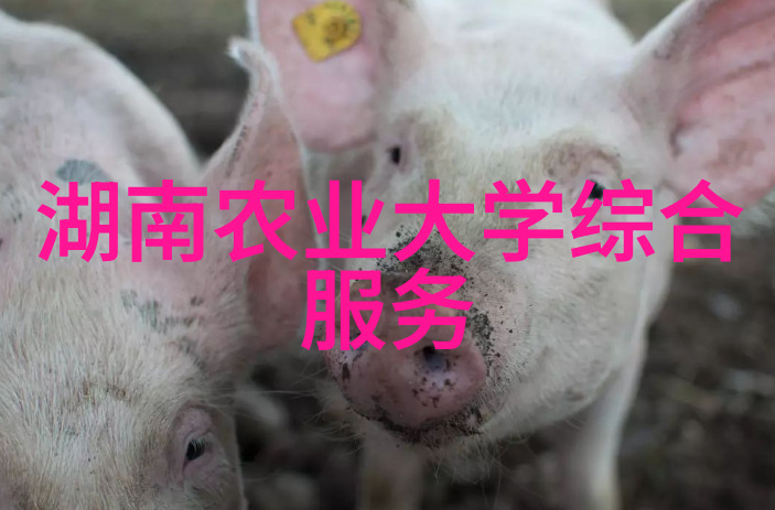 中国农业召开会议强调 深入学习领会重要讲话精神 以人工智能加速农业科技创新突破
