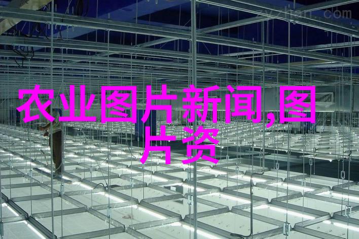 探索花卉种植技巧解析土壤选择光照调配与水分管理的艺术