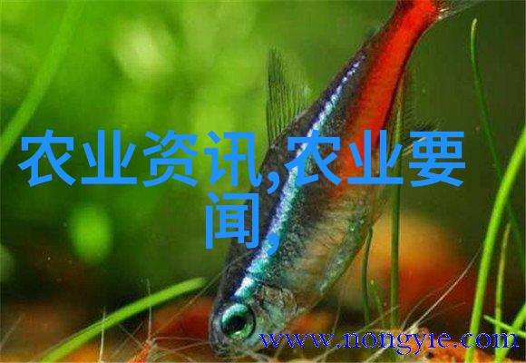 家庭水培蔬菜专家如何在家中高效养殖各种蔬菜