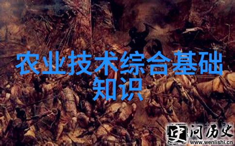 浙江省天台山第五届红枫节苗木树苗主题活动
