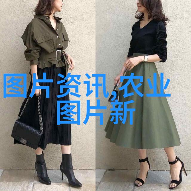 药材养殖项目哪种最好-精选药材揭秘最佳养殖方案