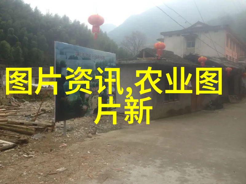 45岁至50岁找工作-中年求职逆袭之路与职业转型