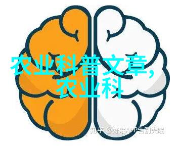 桃红之韵捻取夏日的甜蜜