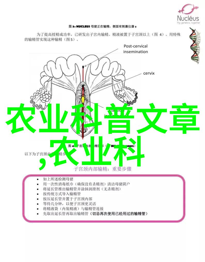 颗粒传感技术在稻谷烘干机中的应用与优化