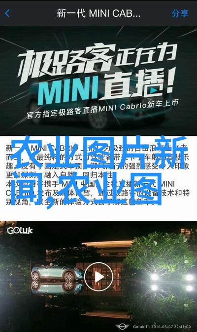 10种罕见植物中的速生法桐与法桐的神秘差异揭秘