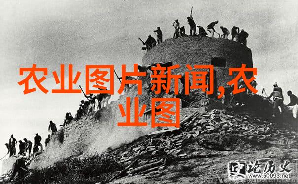 从种子播下到收获丰硕对农业机械的认识与应用