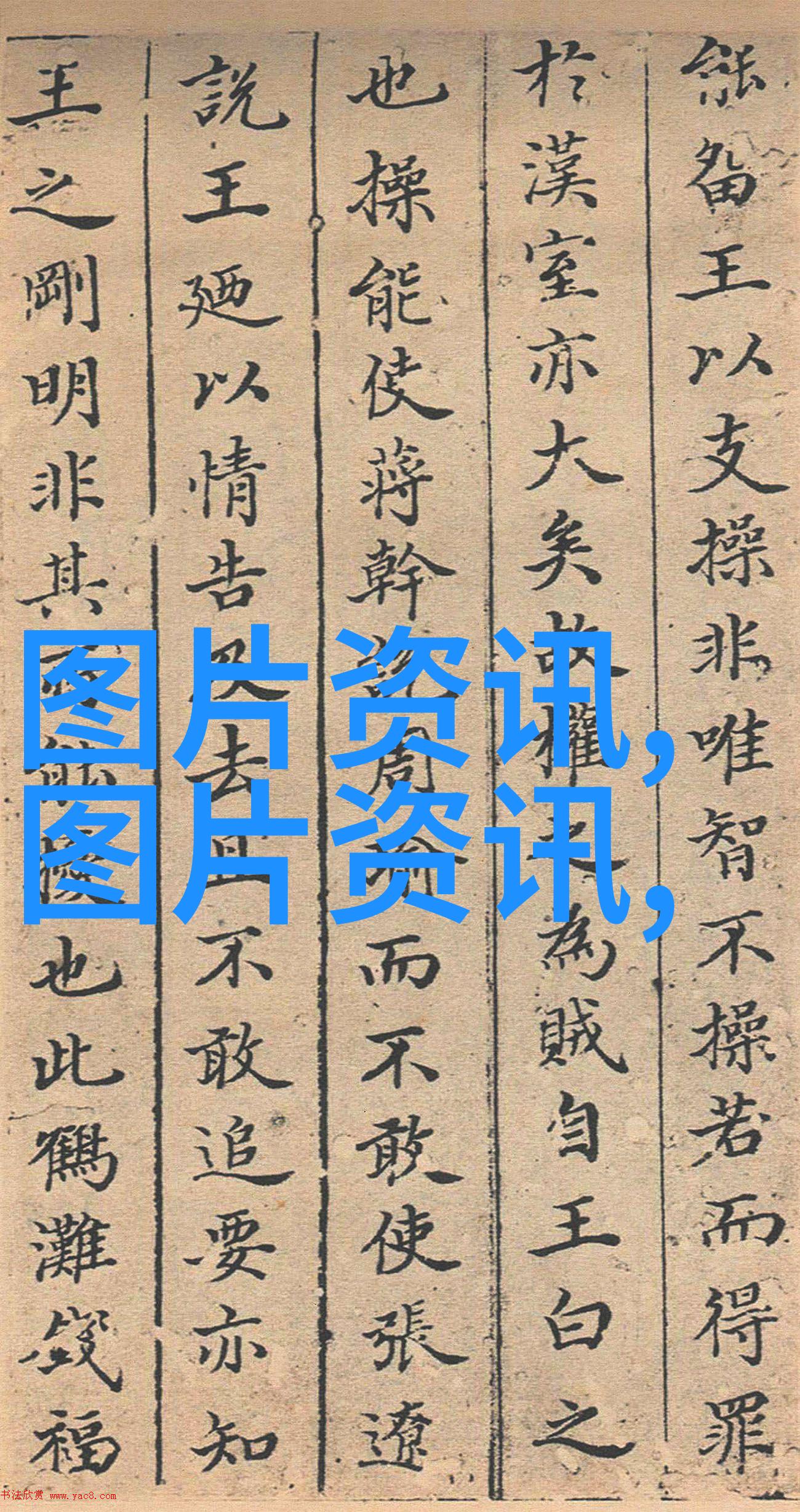 空房变花园探索空房种植致富新项目的魅力与机遇