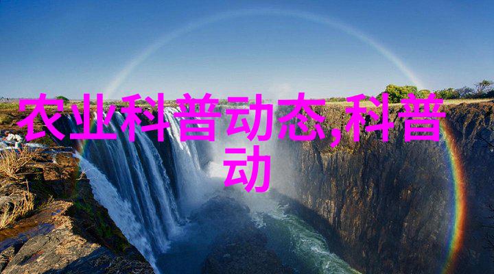 中年求职策略职业规划与面试技巧