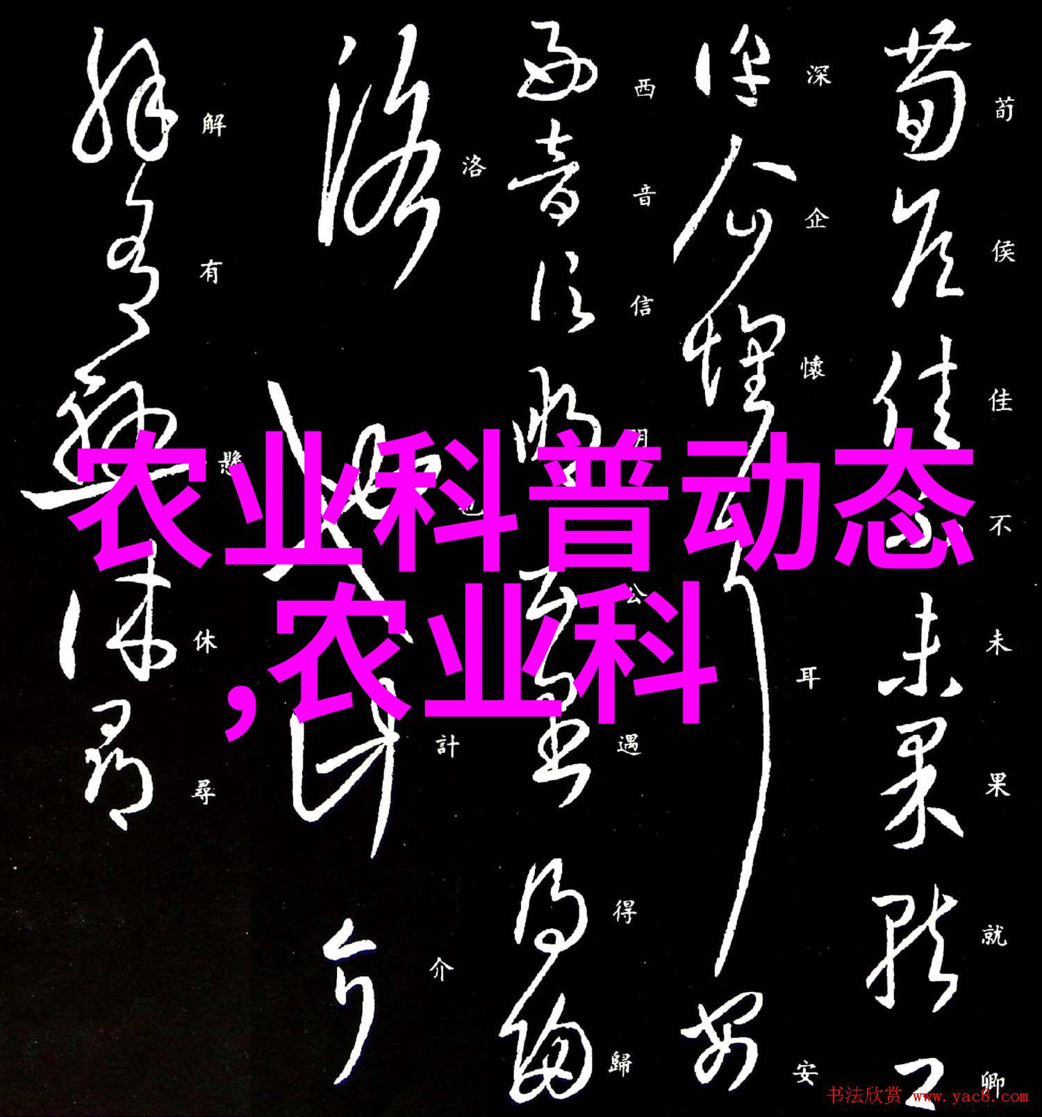低成本高效益的选择在农村养殖业中最赚钱的是哪些项目